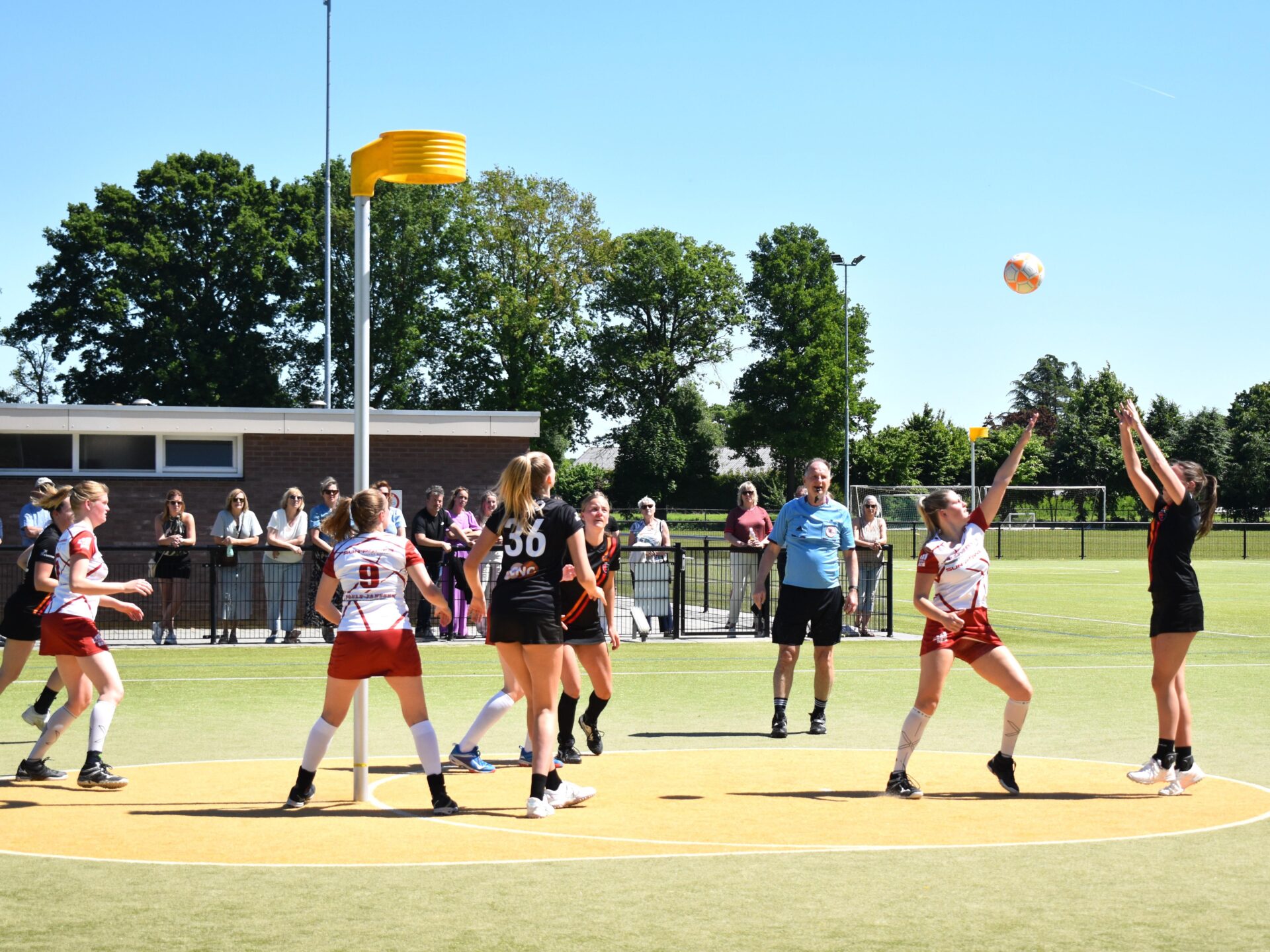 Dameskorfbal Topklasse 2024-2025 – veld #7